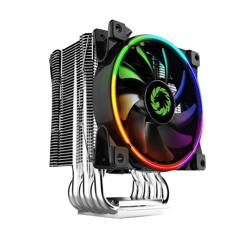 MB f65ed91dcd08